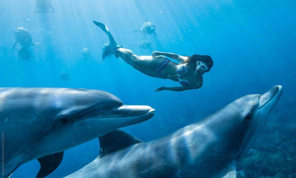 Kizimkazi Dolphins Tour